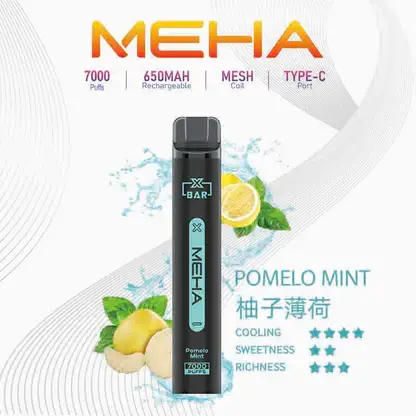 魅嗨 MEHA XBAR 小黑條 7000口 採用 Mesh 網綿芯霧化技術 與 Type-C 快充 打造極強冰感細膩口感