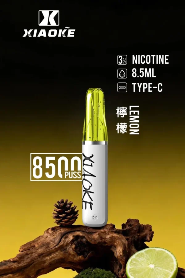d185d7e28615e84aca893d861a0e04f4-1024x1536.jpg.webp XIAOKE 梟客8500口拋棄式電子煙 8.5ml儲油量 3%尼古丁鹽 支援Type-C充電 台灣現貨秒發